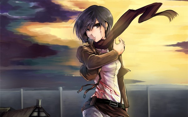 Mikasa